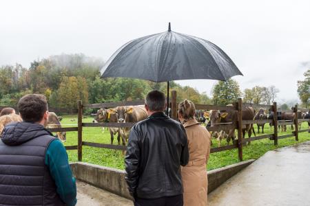 POSESTVO BOGATA foto David Štulc Zornik
